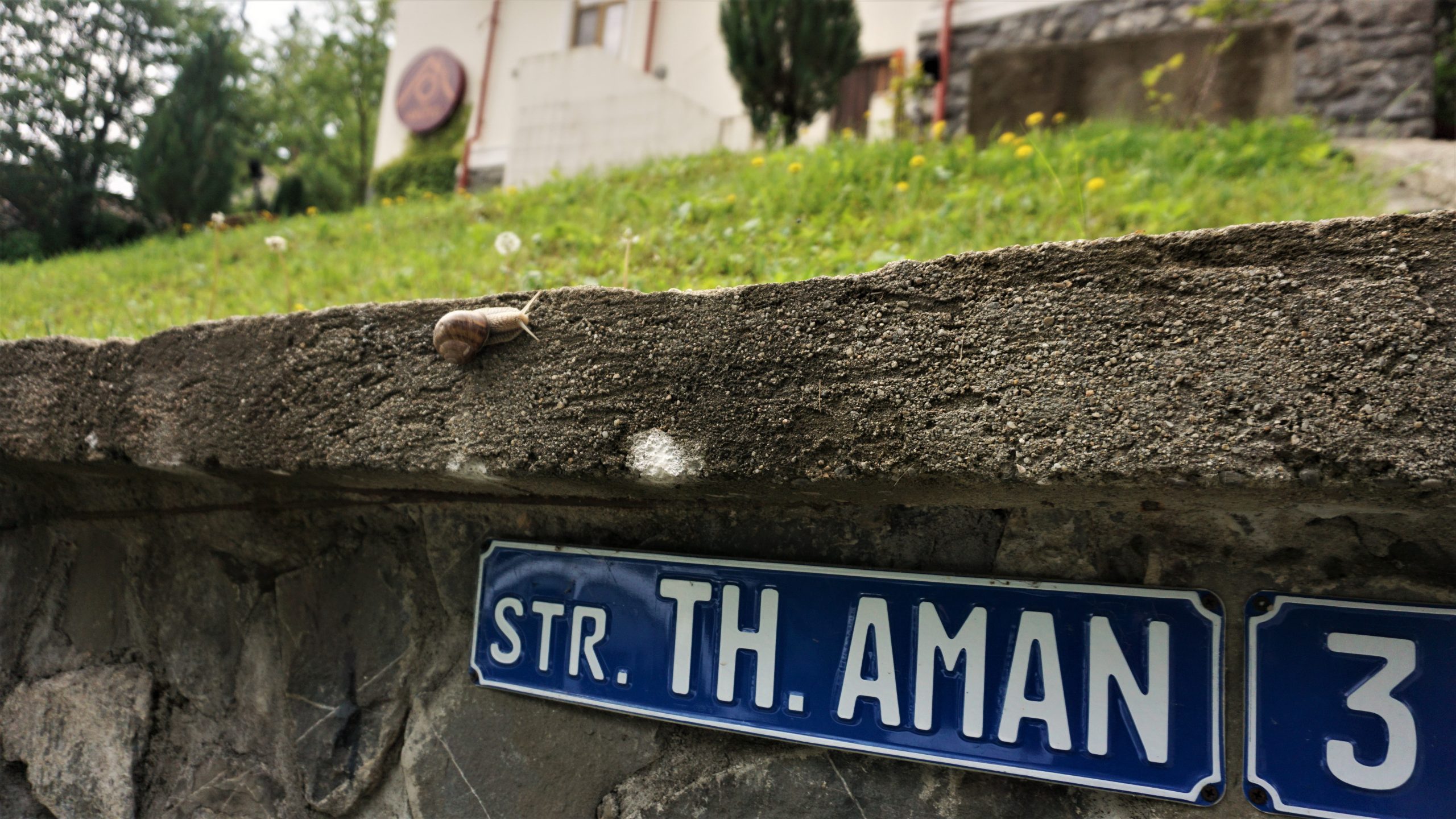 Adresa la care ne gasiti